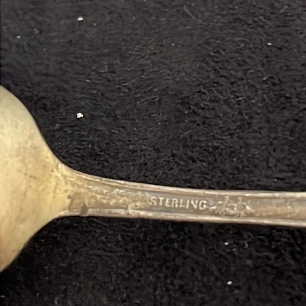 Watson & Newell Antique 1900s Sterling silver gold washed bowl Indian head spoon